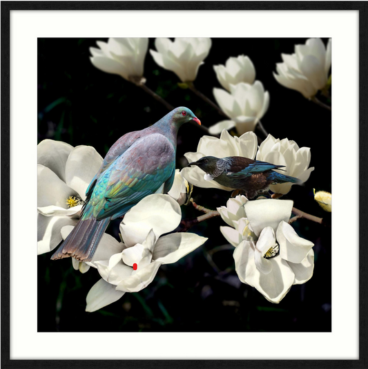 Magnolia Affair Framed Print